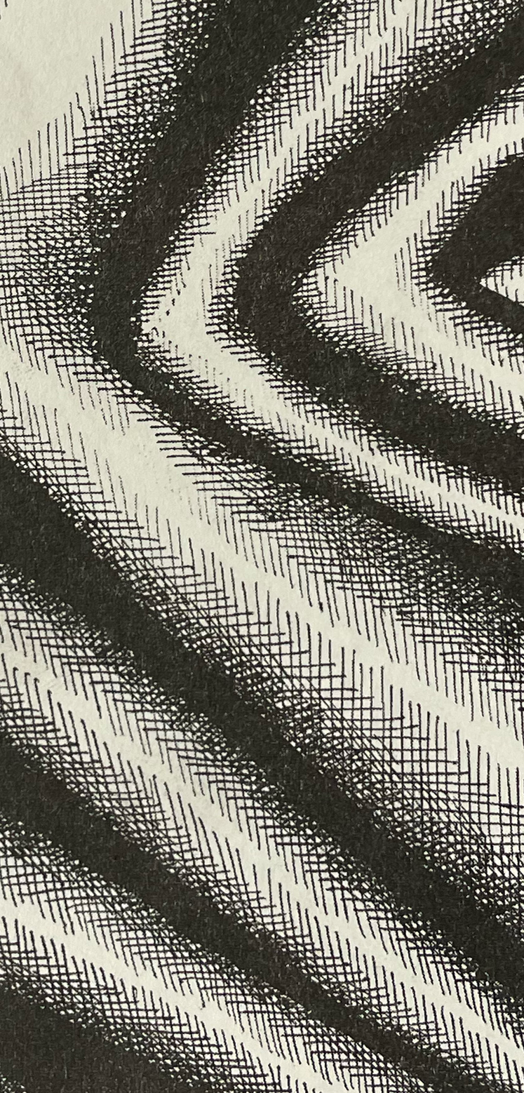 Cover of 'The Waterbed' by Leo Fox with a black and white abstract design and a holographic sticker.