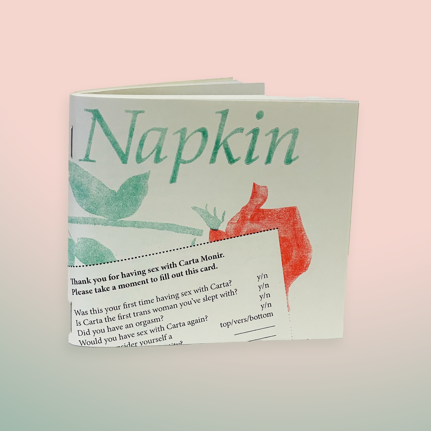 Cover of the zine "Napkin" by Carta Monir. It is the cover of a sanitary napkin package with a comment card on the front.