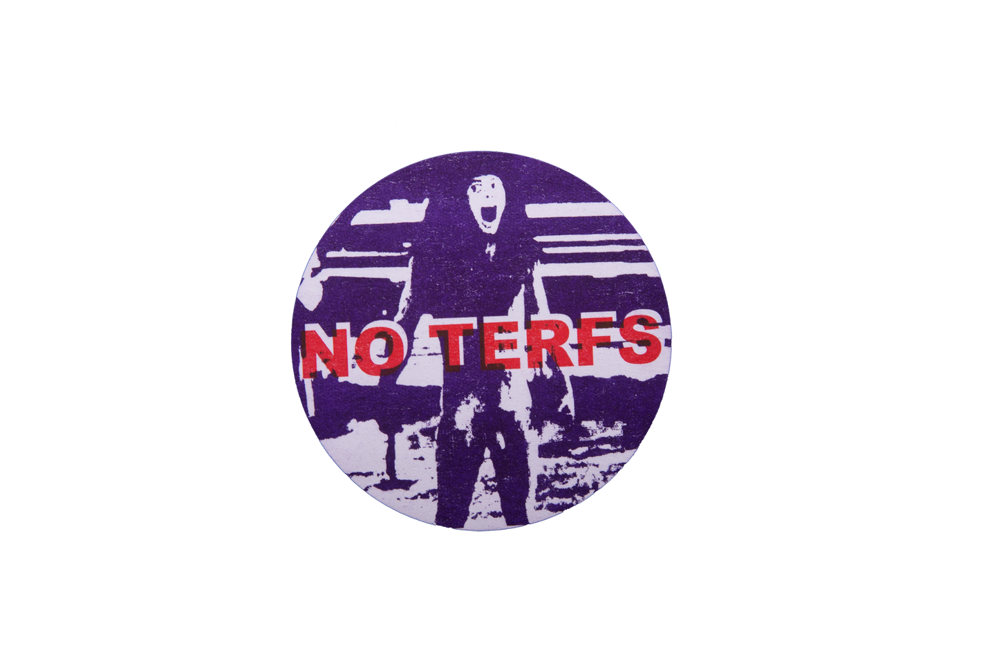 NO TERFS Stickers (Set of 5, WEATHER RESISTANT)