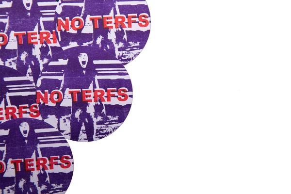 NO TERFS Stickers (Set of 5, WEATHER RESISTANT)