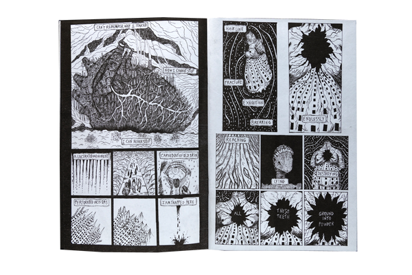 Disorder 1/3 by Erika Price